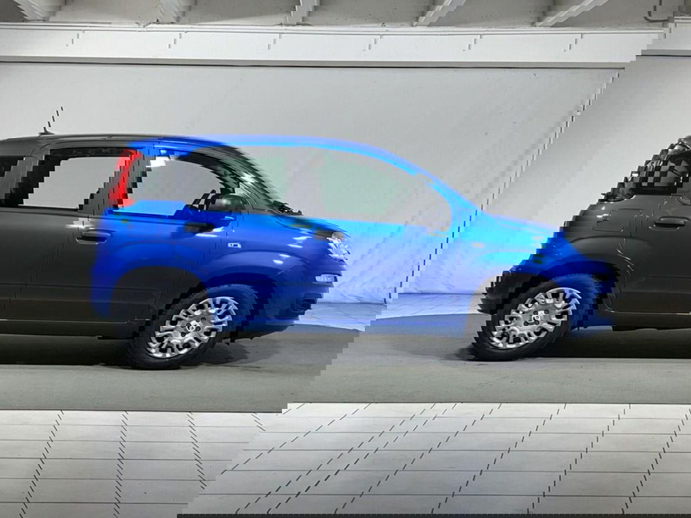 Fiat Pandina nuova a Sondrio (6)