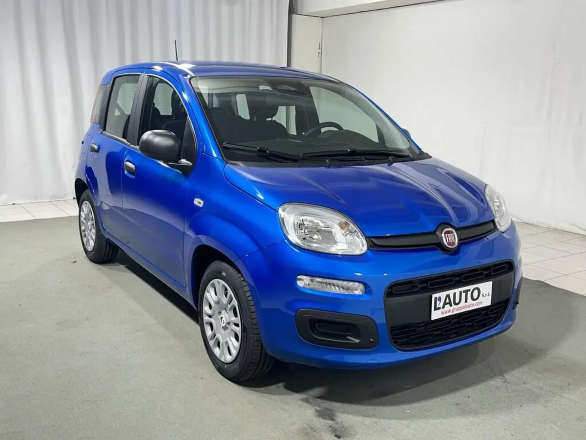 Fiat Pandina nuova a Sondrio (7)