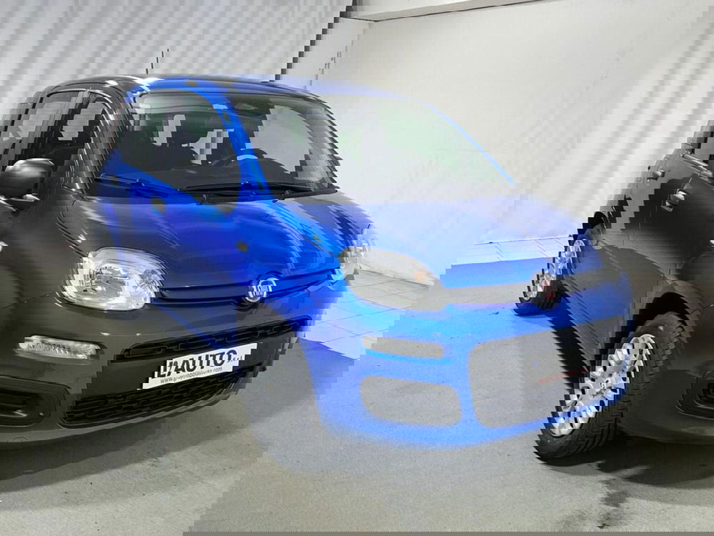 Fiat Pandina nuova a Sondrio (7)