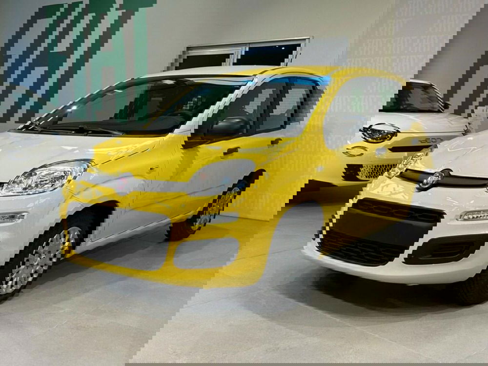 Fiat Pandina nuova a Sondrio