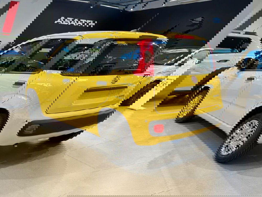 Fiat Pandina nuova a Sondrio (3)