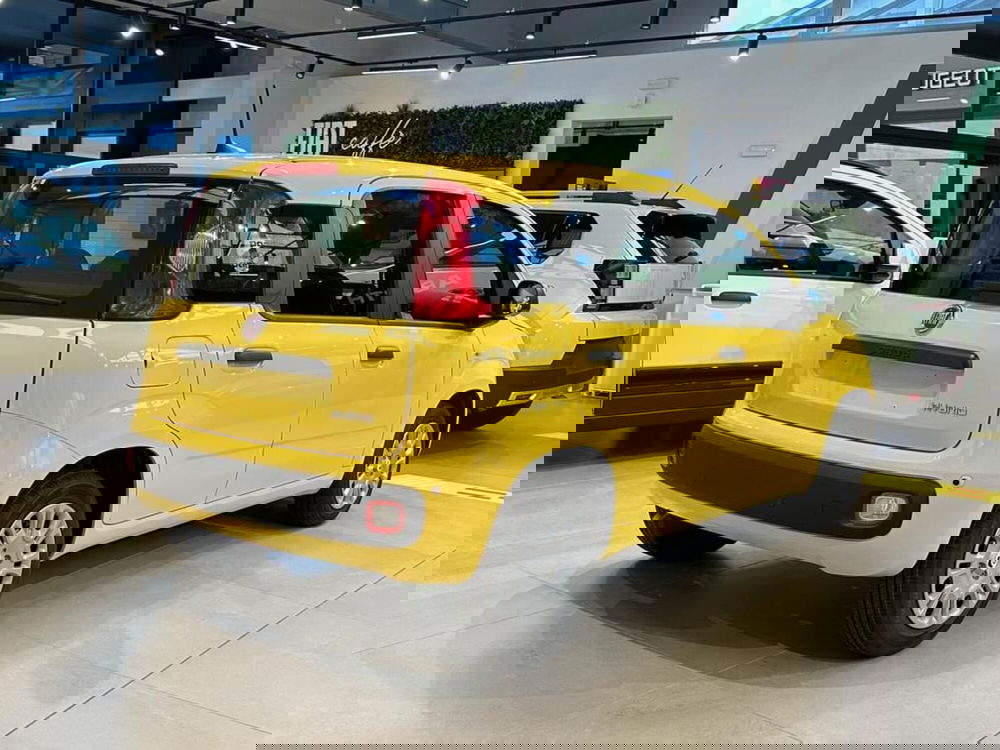 Fiat Pandina nuova a Sondrio (5)