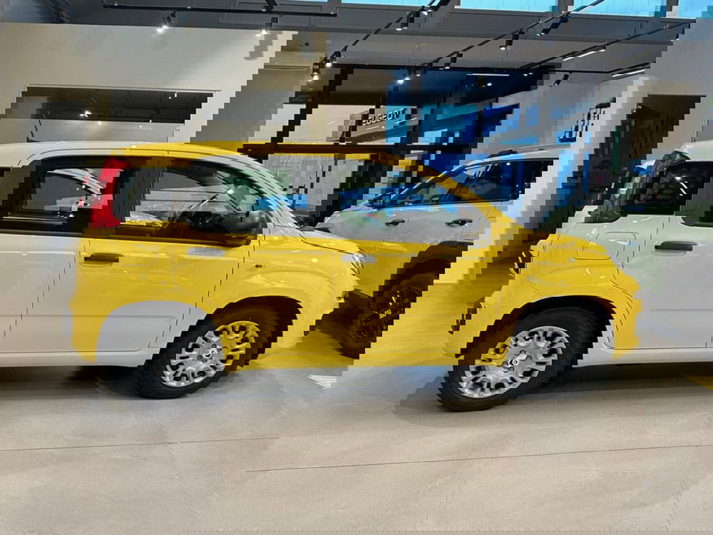 Fiat Pandina nuova a Sondrio (6)