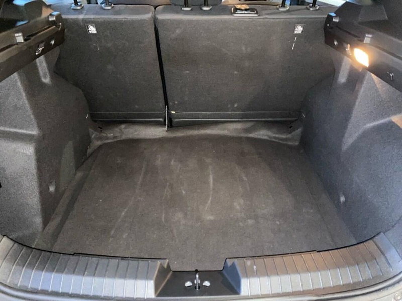 Dacia Duster Van usata a Torino (9)