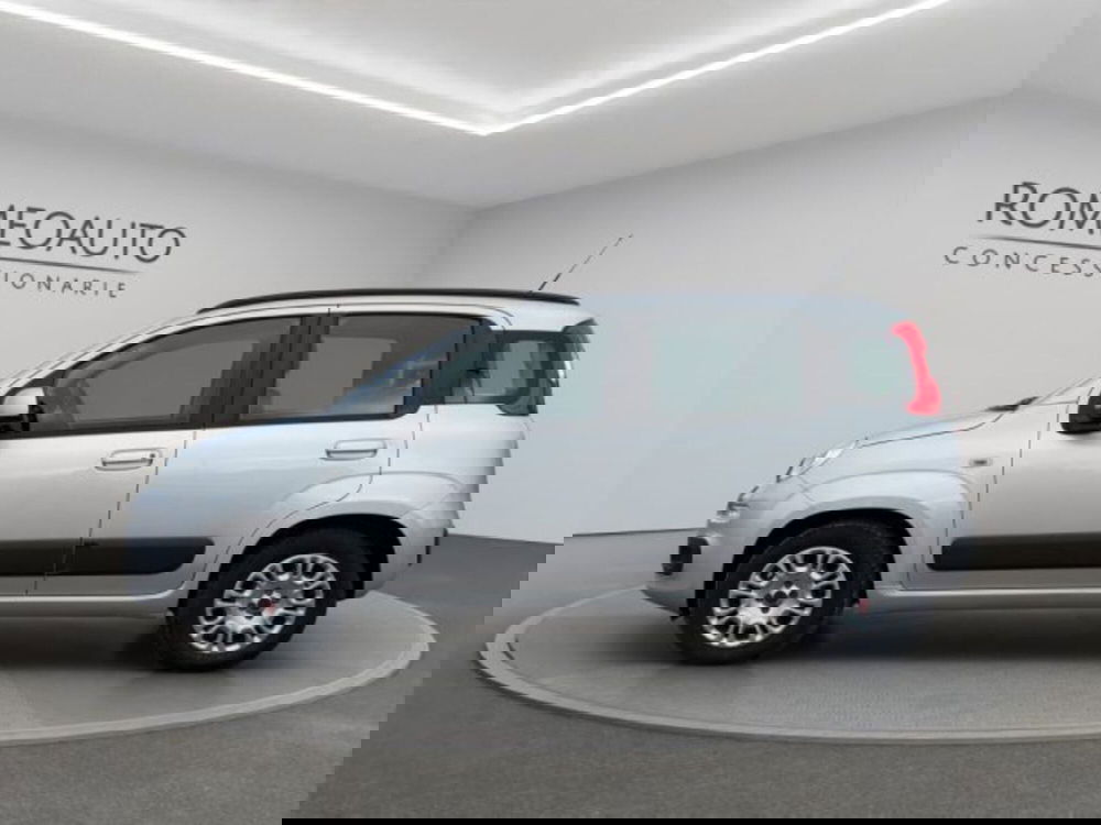 Fiat Panda usata a Perugia (3)