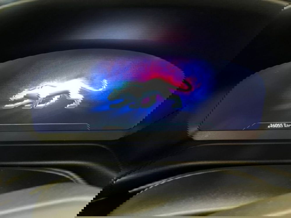 Ford Puma usata a Lodi (11)