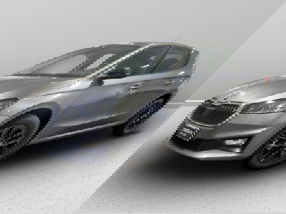 Skoda Fabia usata a Padova