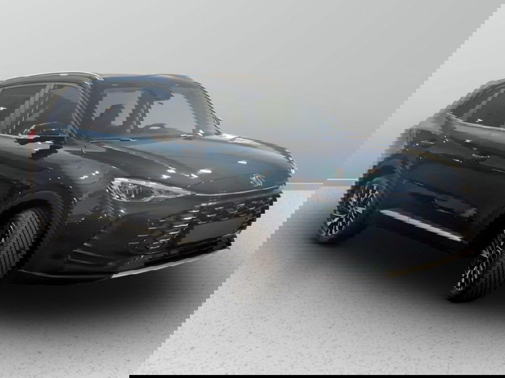 Mg ZS nuova a Padova (6)