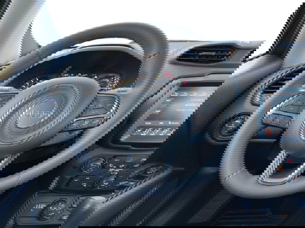 Jeep Renegade usata a Torino (11)