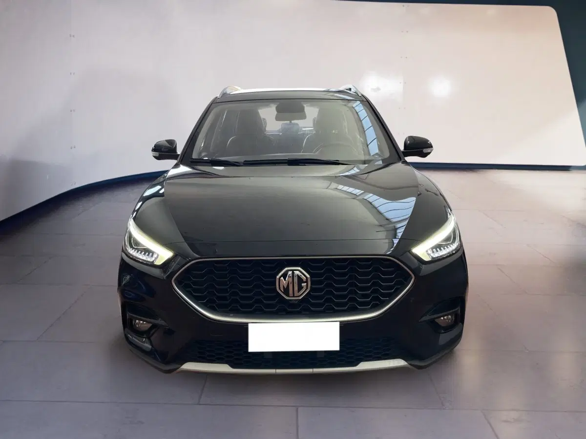 Mg ZS usata a Torino