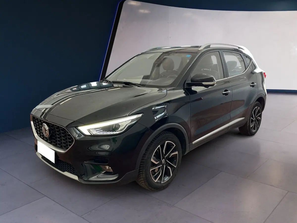 Mg ZS usata a Torino (3)