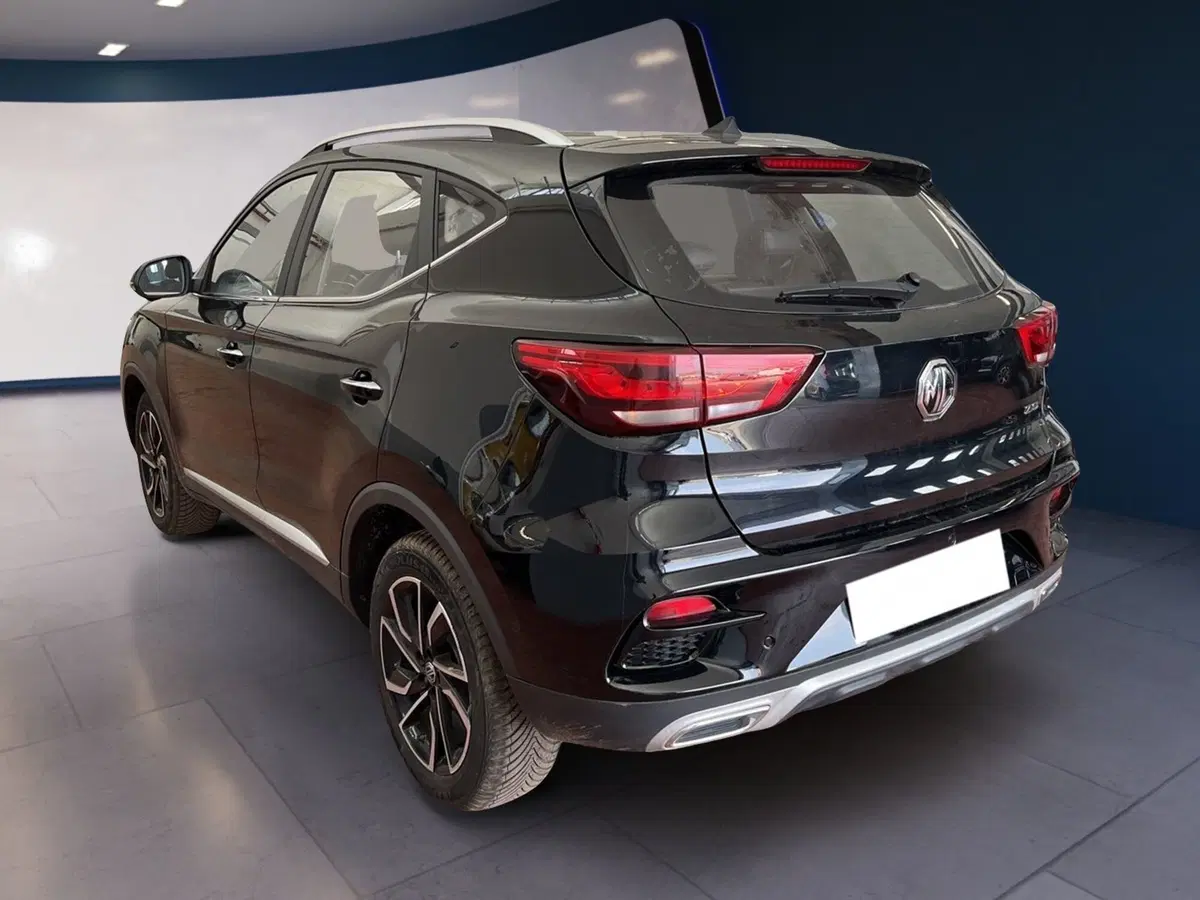 Mg ZS usata a Torino (4)