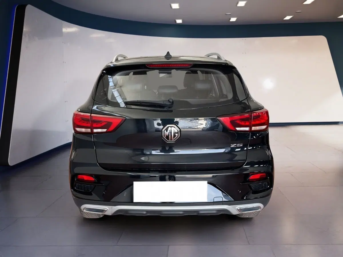 Mg ZS usata a Torino (5)
