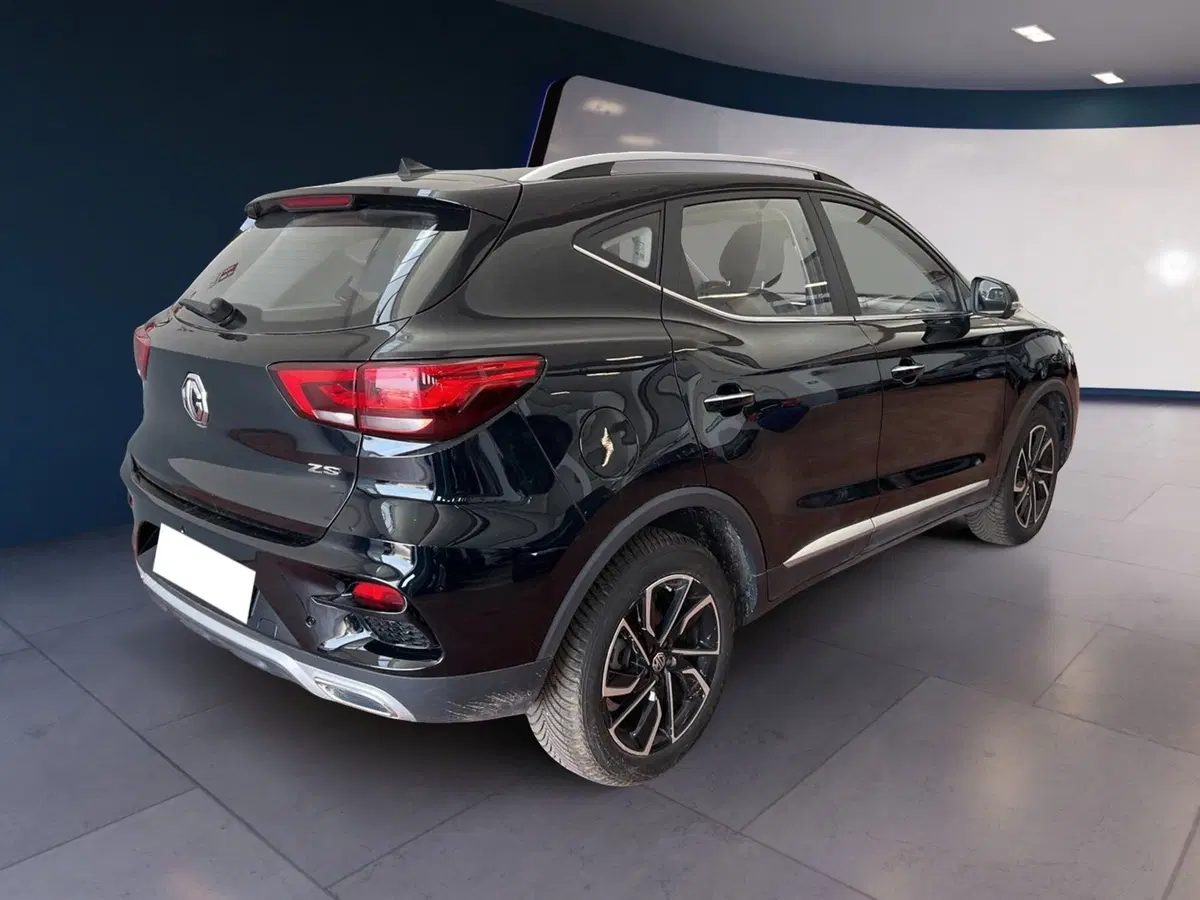 Mg ZS usata a Torino (6)