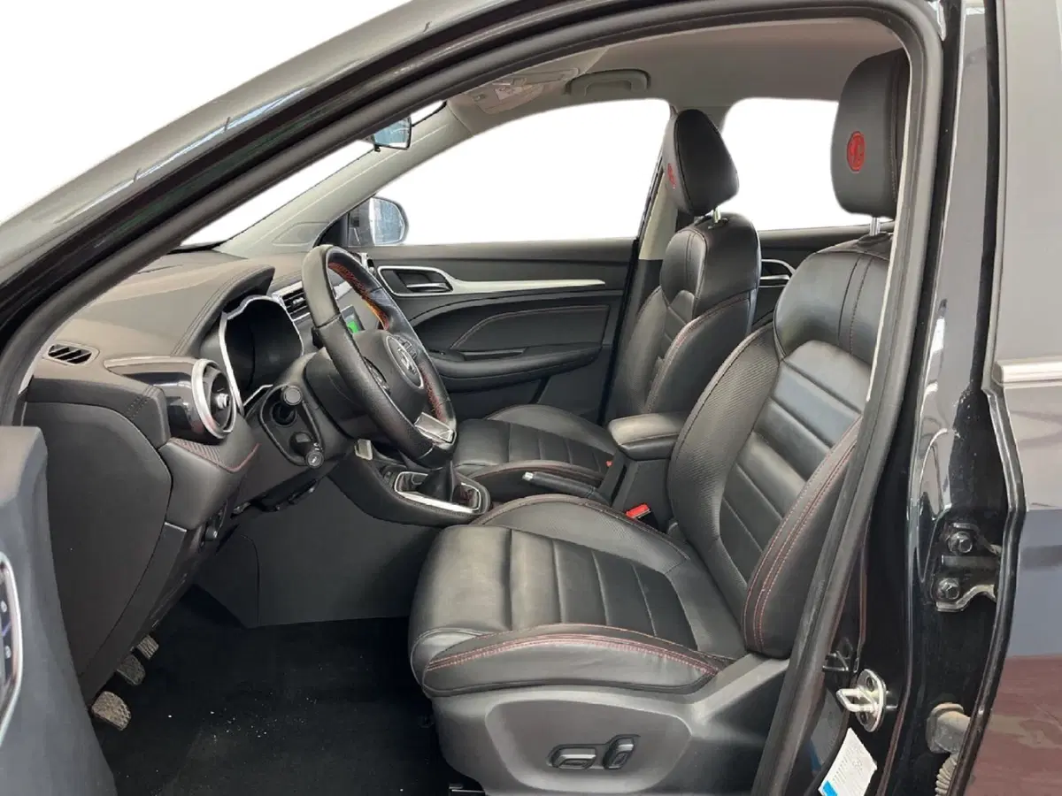 Mg ZS usata a Torino (9)