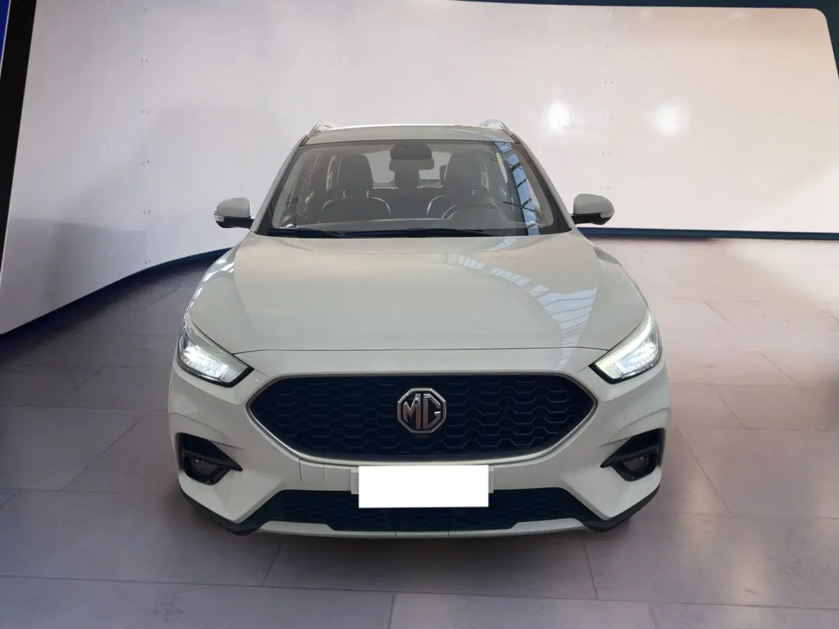 Mg ZS usata a Torino