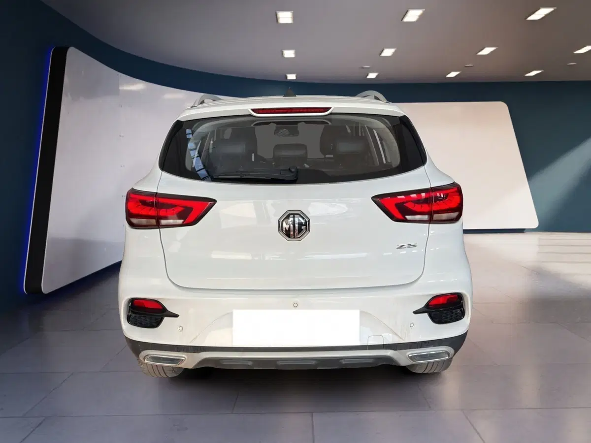 Mg ZS usata a Torino (5)