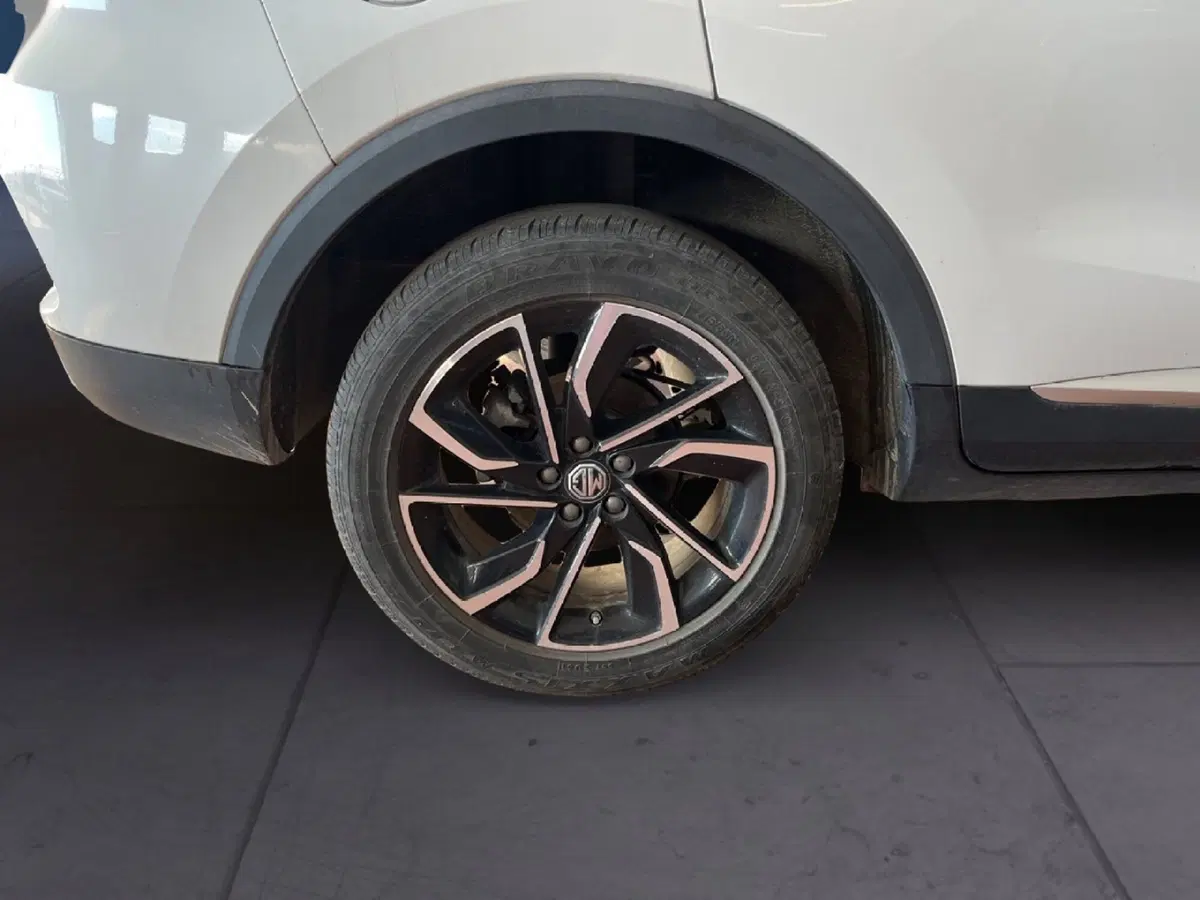 Mg ZS usata a Torino (7)