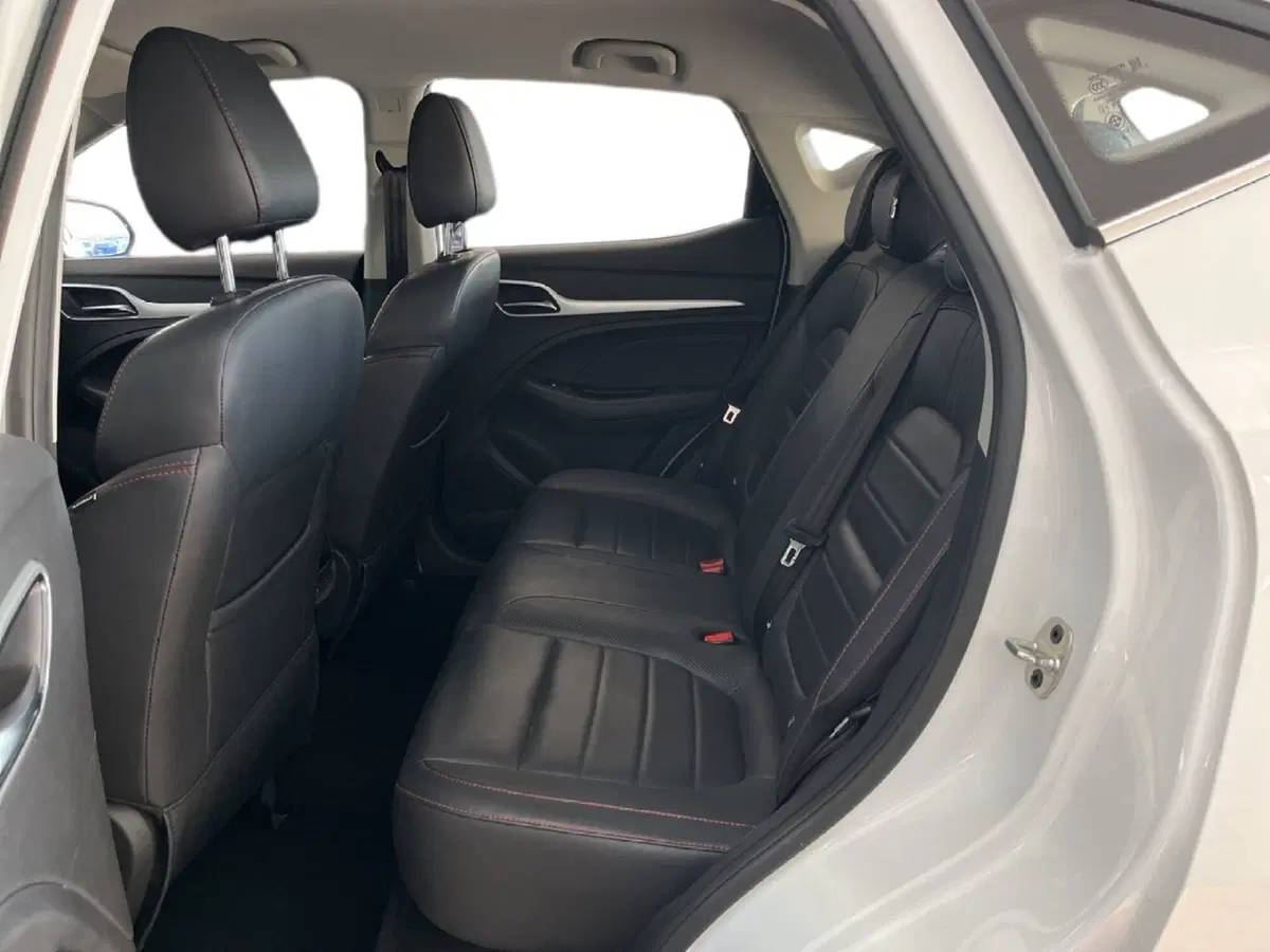 Mg ZS usata a Torino (8)