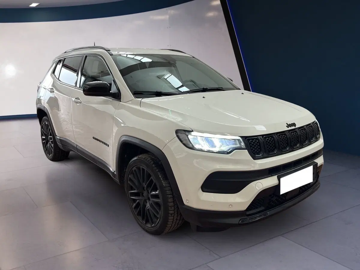 Jeep Compass usata a Torino (2)