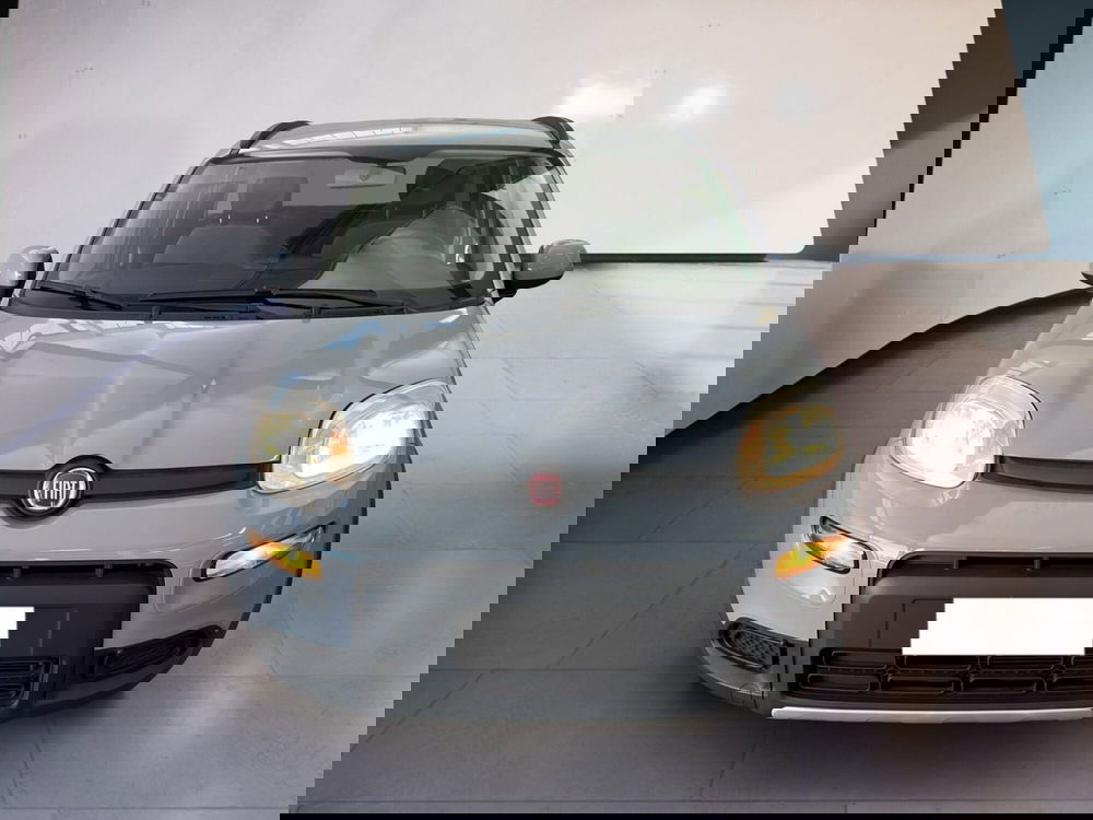 Fiat Panda usata a Torino