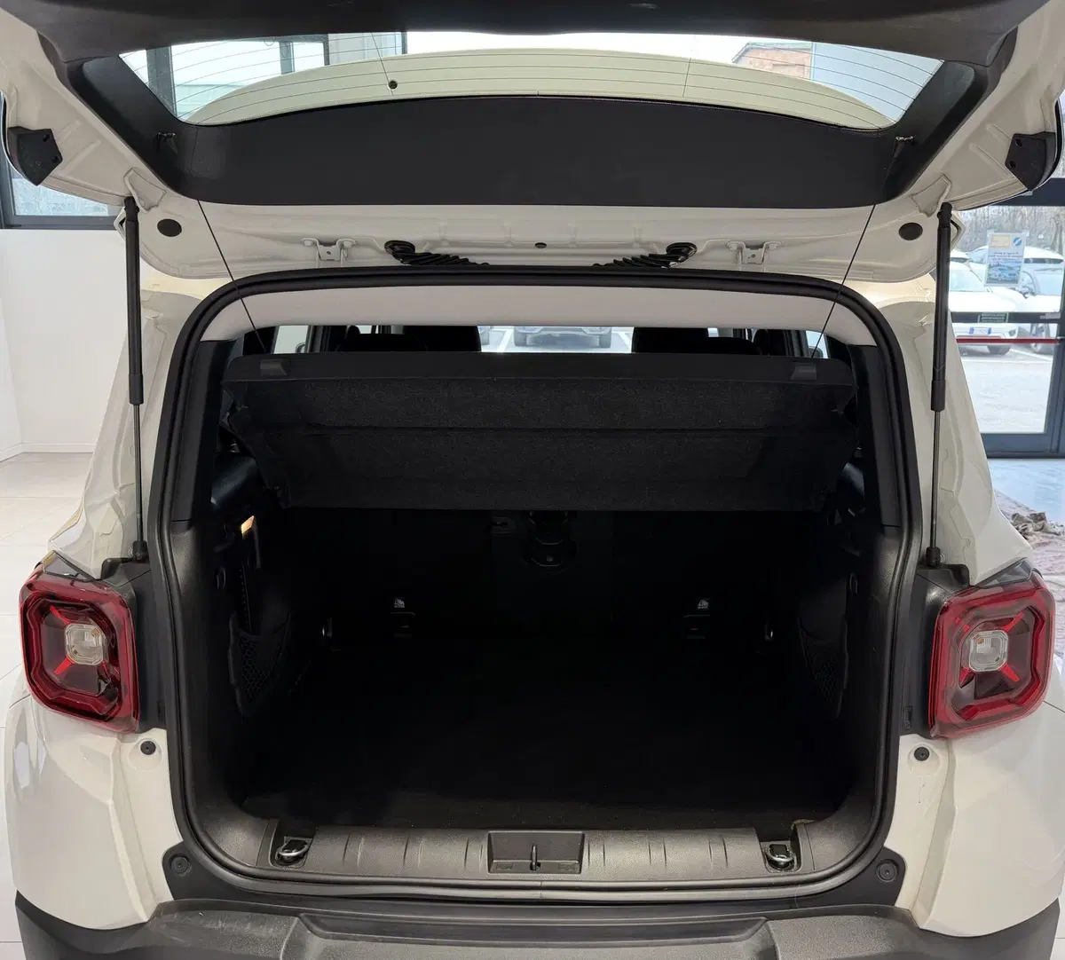 Jeep Renegade usata a Parma (12)