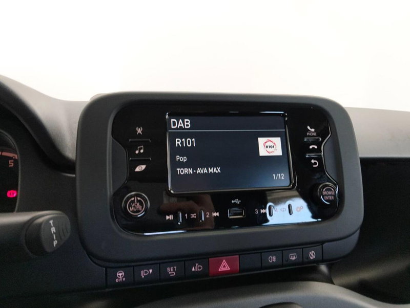 Fiat Panda Cross usata a Como (11)