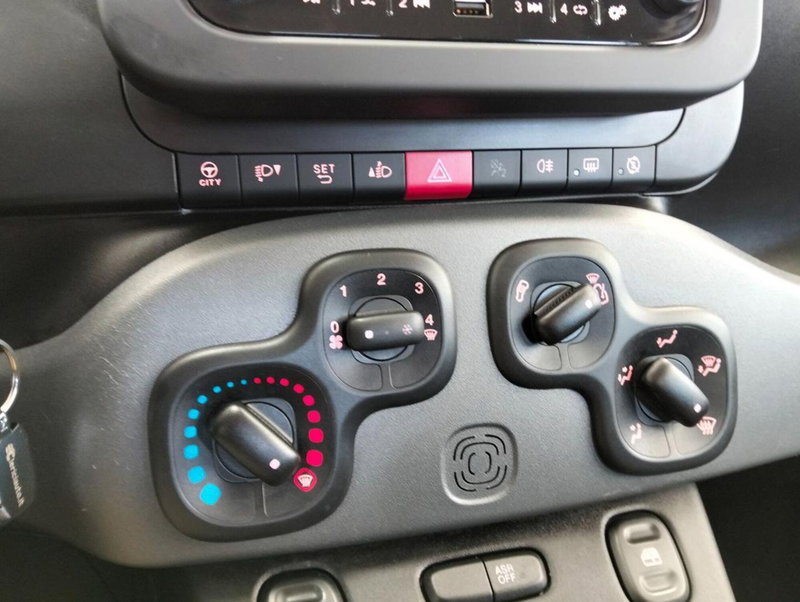 Fiat Panda Cross usata a Como (12)