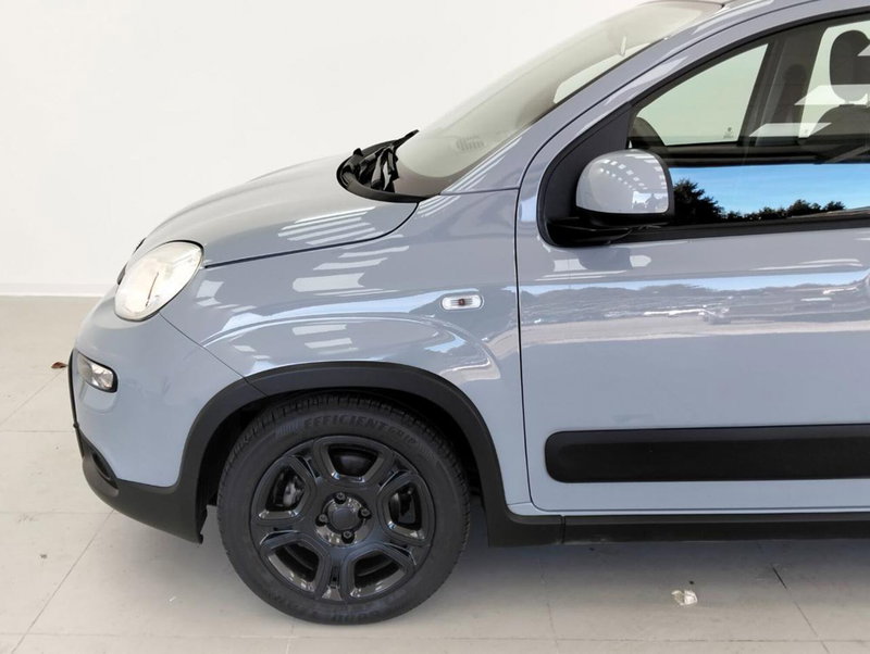 Fiat Panda Cross usata a Como (9)