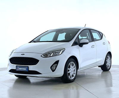 Ford Fiesta 1.1 5 porte Plus del 2018 usata a Bastia Umbra