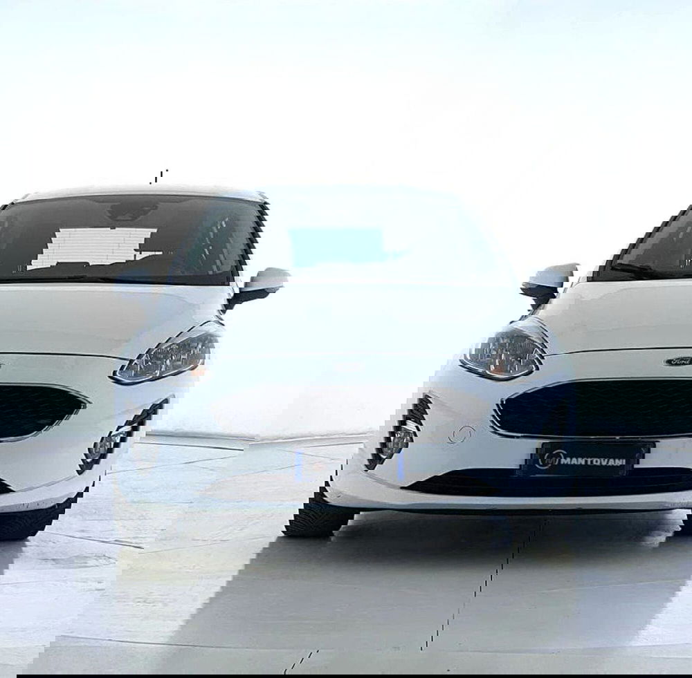 Ford Fiesta usata a Perugia (2)