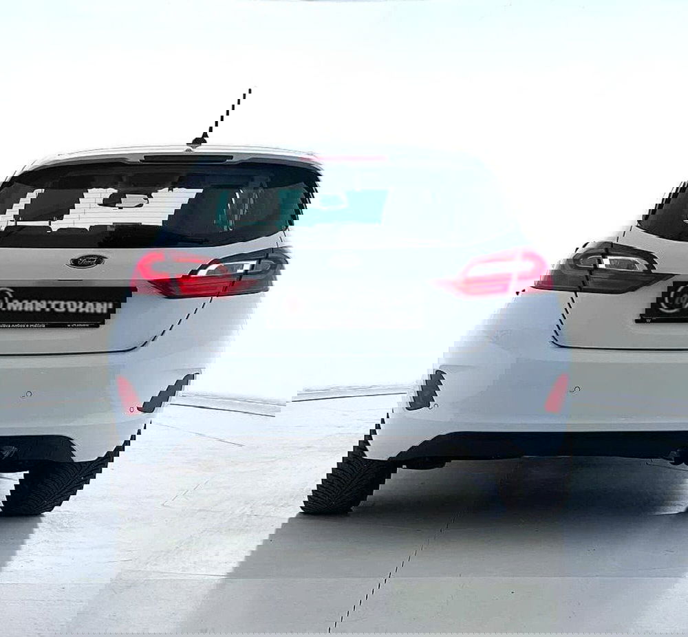 Ford Fiesta usata a Perugia (4)