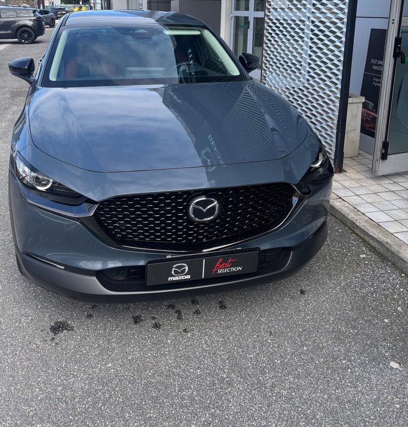 Mazda CX-30 usata a Frosinone (4)