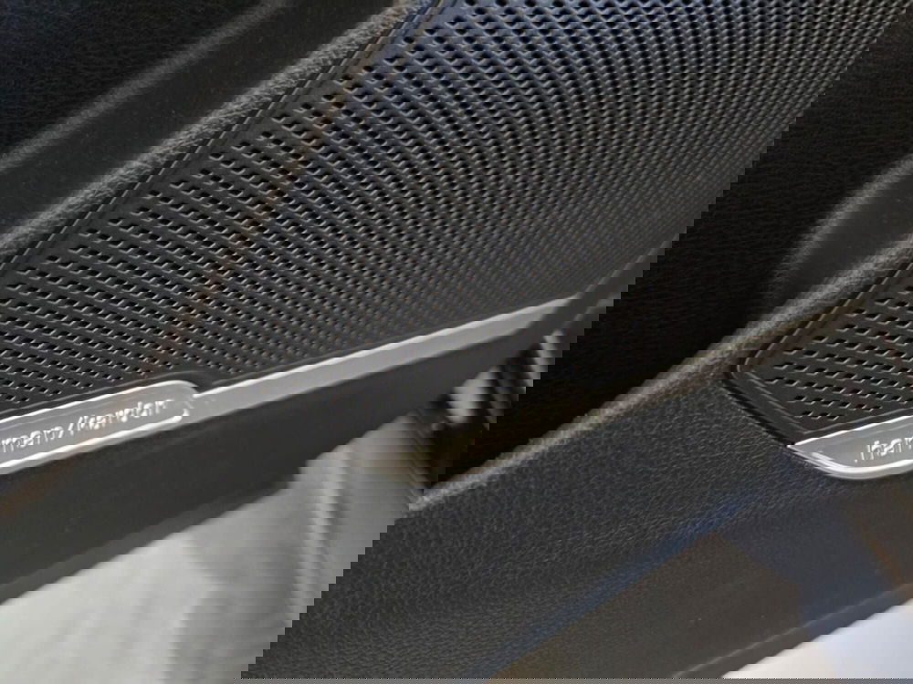 Kia Sportage usata a Rimini (13)