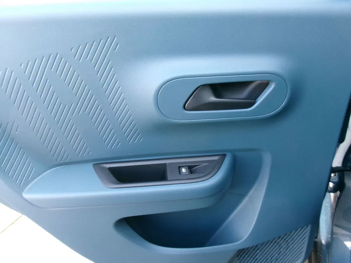 Fiat Grande Panda nuova a Venezia (15)