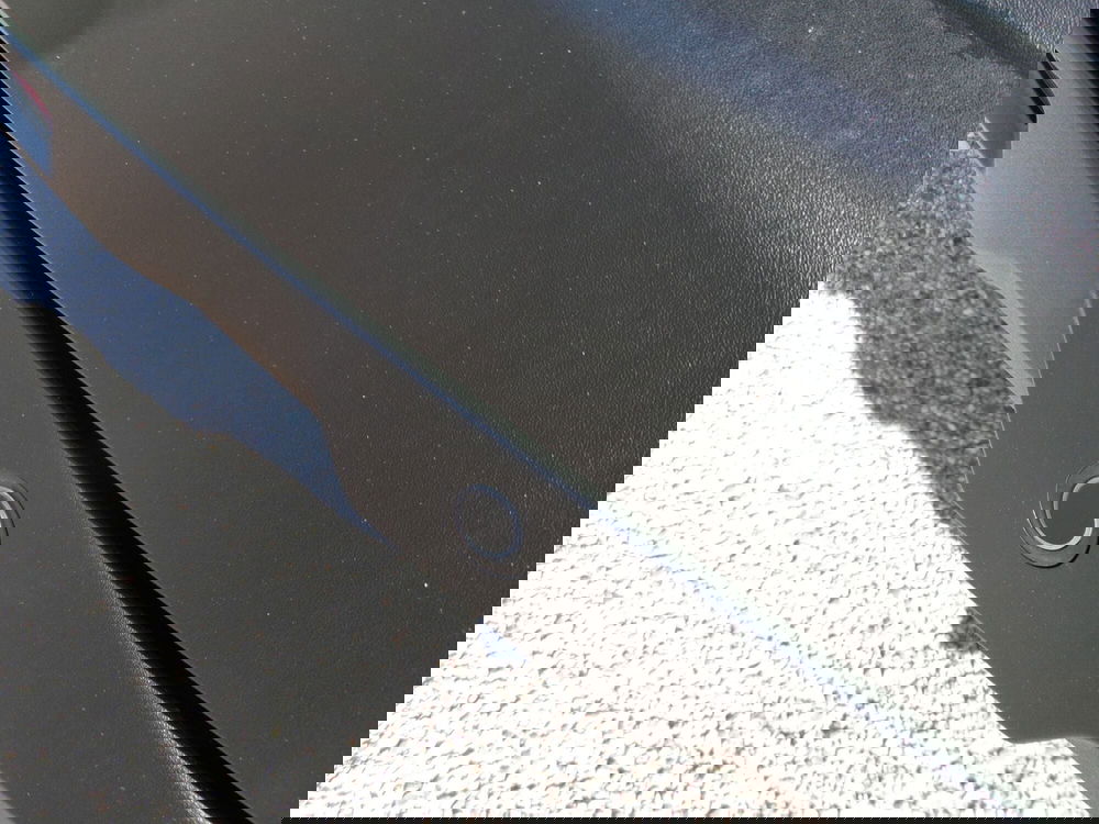 Fiat Grande Panda nuova a Venezia (16)