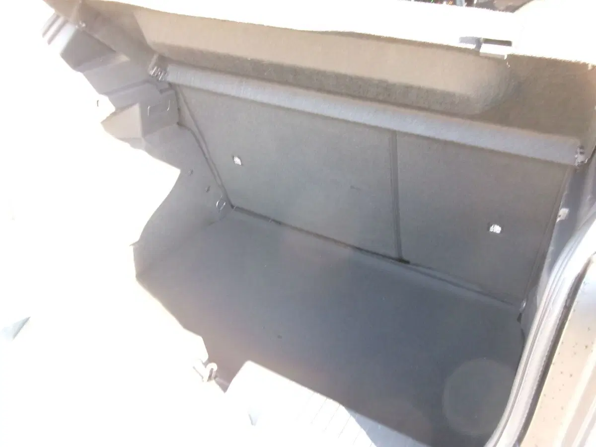 Fiat Grande Panda nuova a Venezia (18)