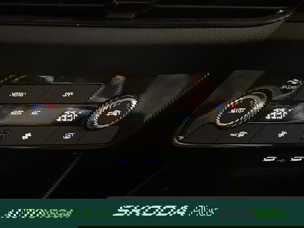 Skoda Fabia usata a Vicenza (15)