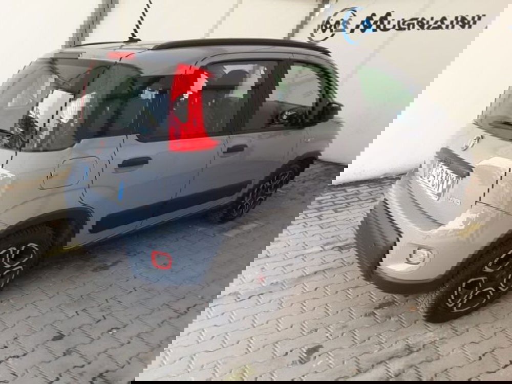 Fiat Panda usata a Firenze (13)