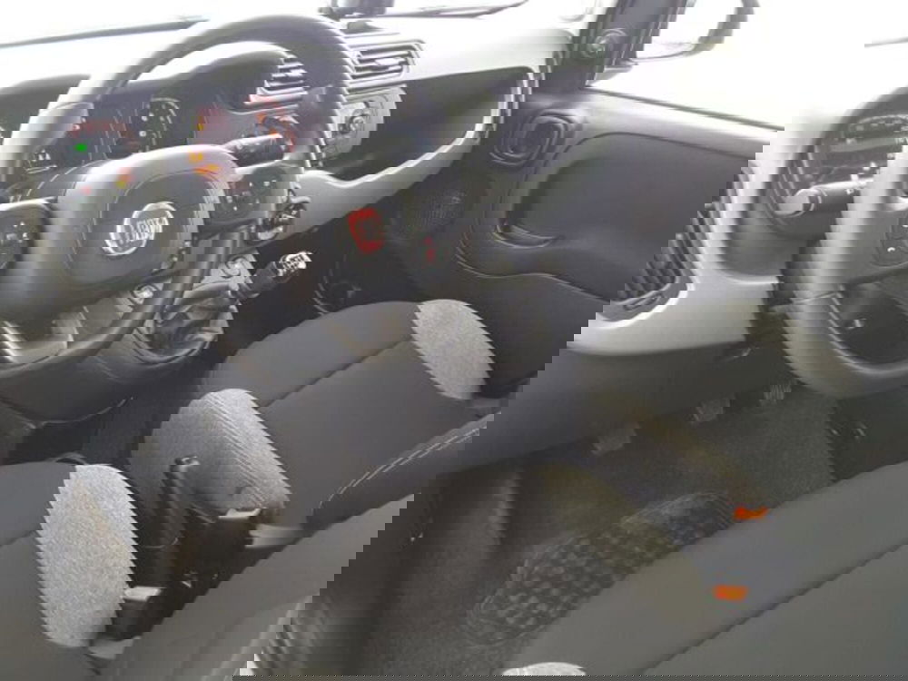 Fiat Panda usata a Firenze (6)