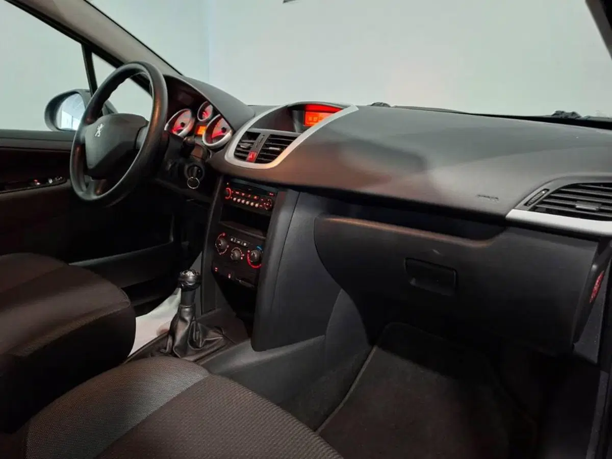 Peugeot 206 usata a Torino (13)