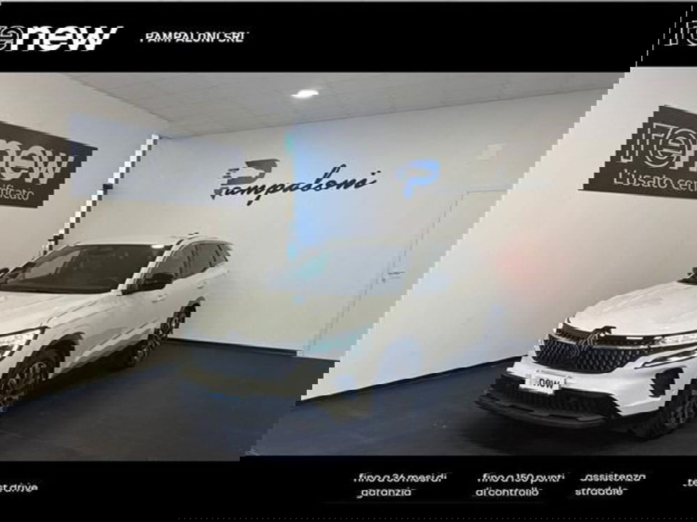 Renault Austral usata a Siena