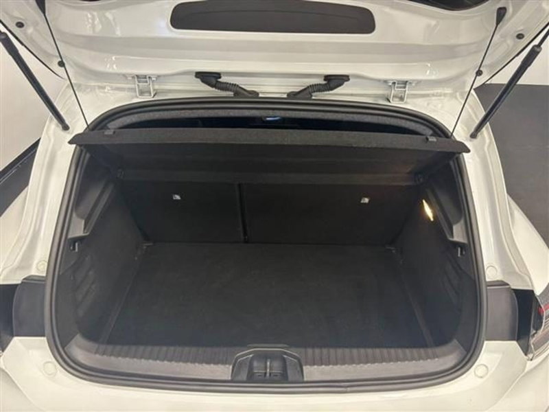 Renault Clio usata a Siena (19)