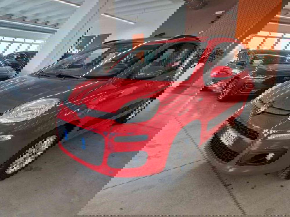 Fiat Panda usata a Bologna
