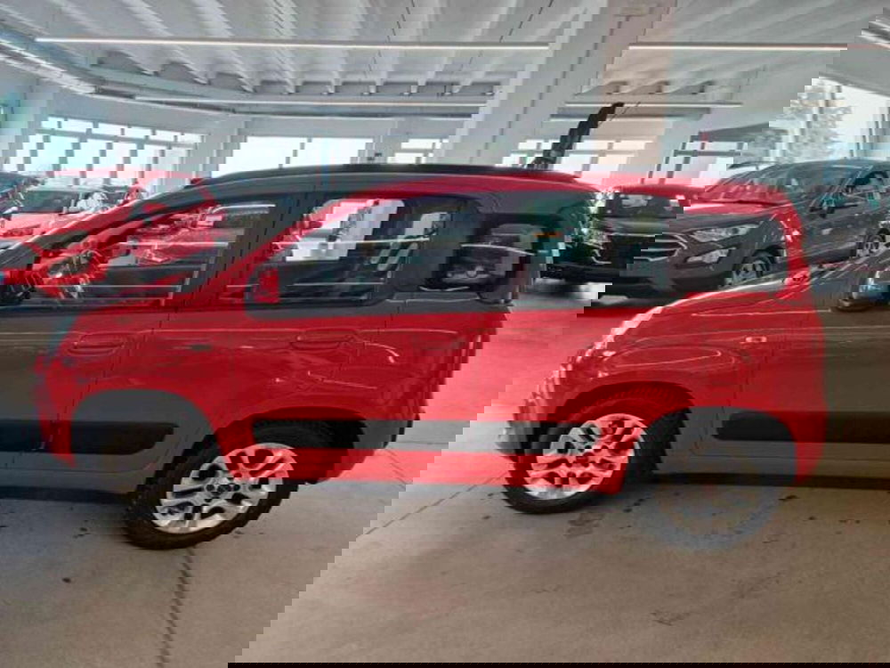 Fiat Panda usata a Bologna (7)
