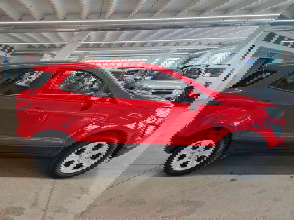 Ford EcoSport usata a Bologna (4)