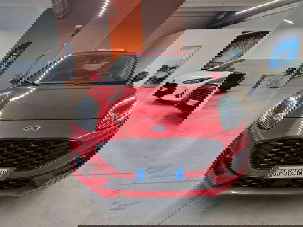 Ford Puma usata a Bologna (2)