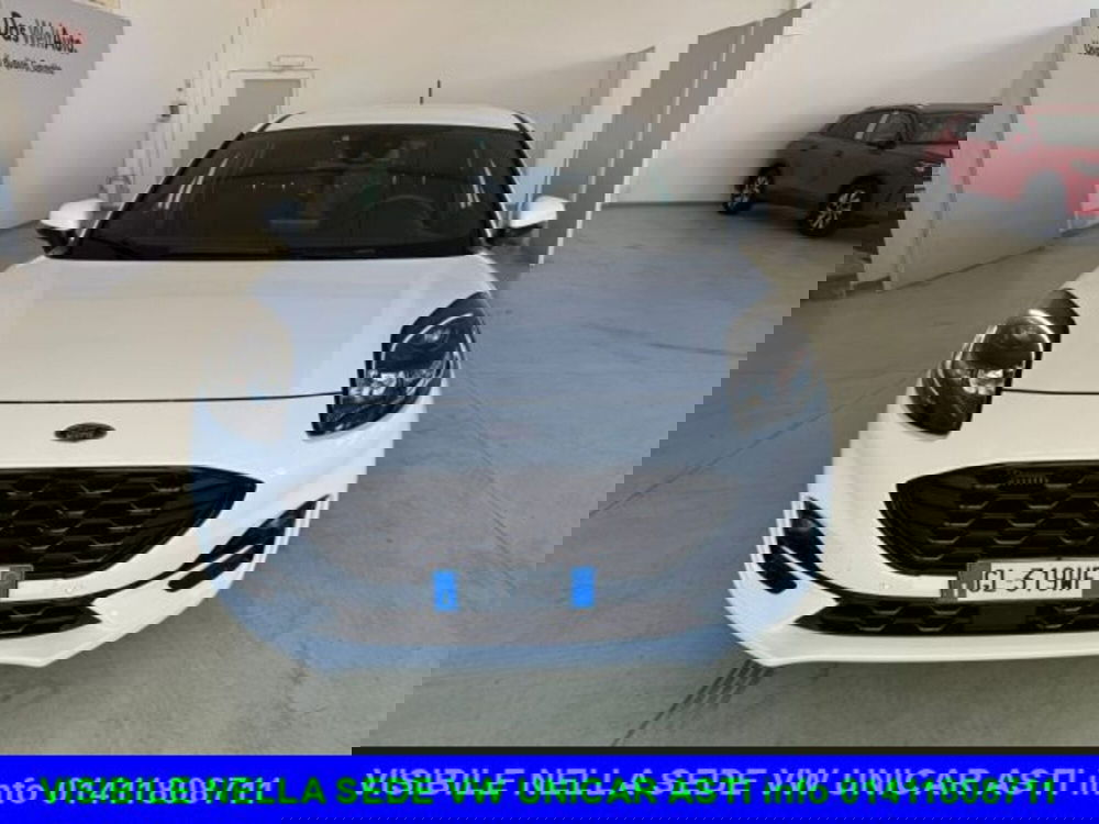 Ford Puma usata a Cuneo (2)