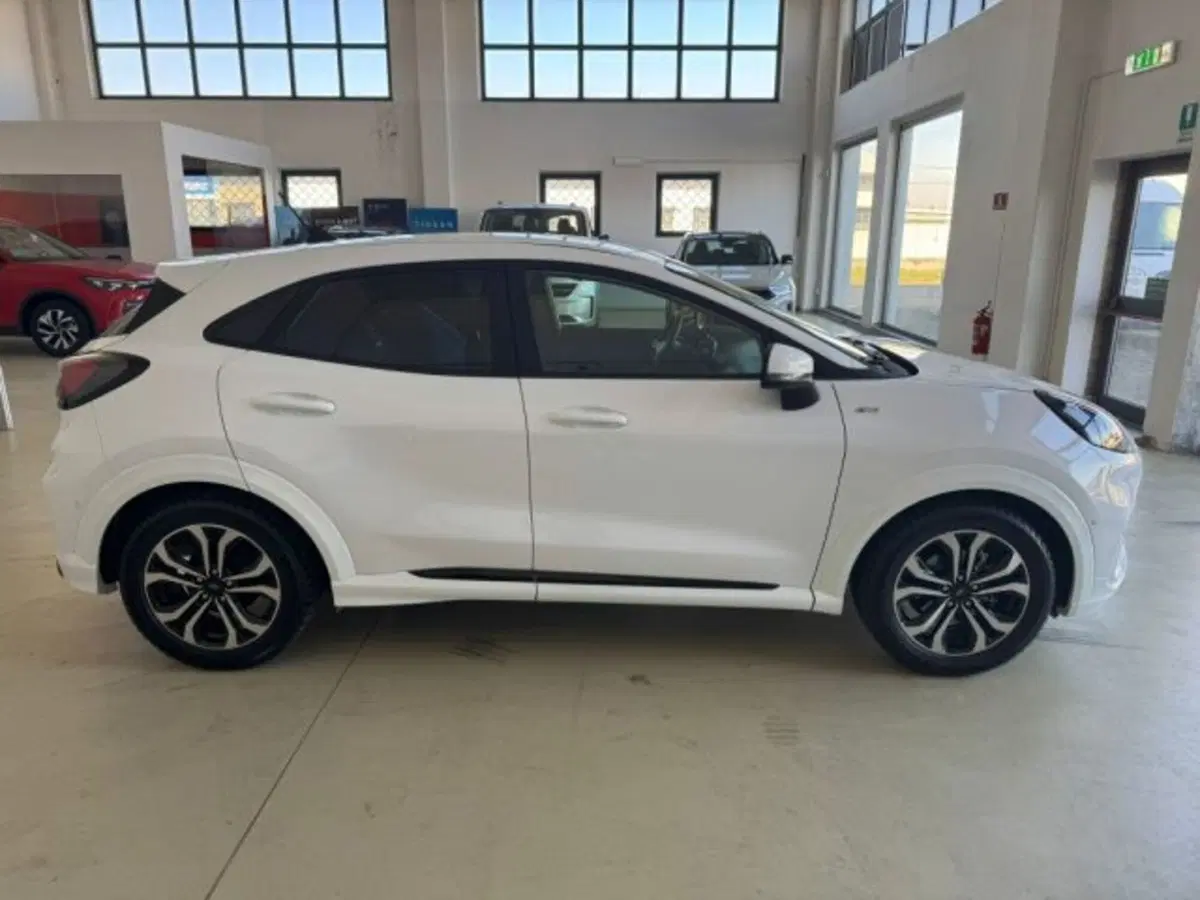 Ford Puma usata a Cuneo (4)