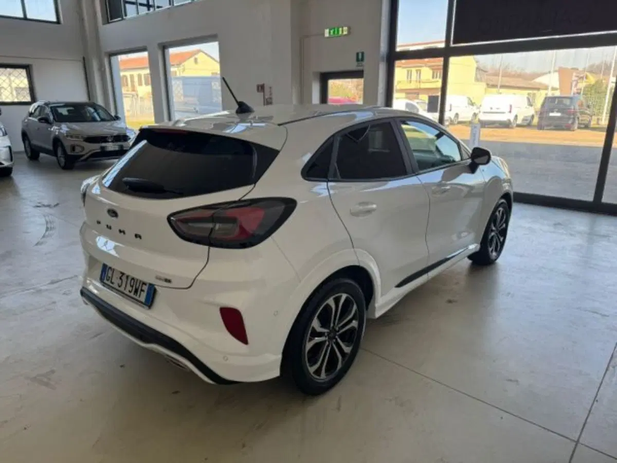 Ford Puma usata a Cuneo (5)